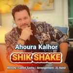 دانلود آهنگ جدید محاعیل با عنوان راه نجات